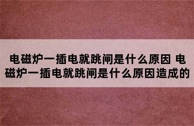 电磁炉一插电就跳闸是什么原因 电磁炉一插电就跳闸是什么原因造成的